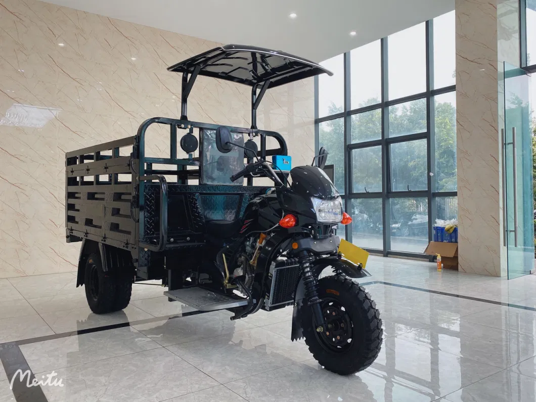 Chinese Manufacturers Sell Dump Freight Three Wheels Motorcycle Fuel Oil Gasoline Motorized Tricycle for Cargo