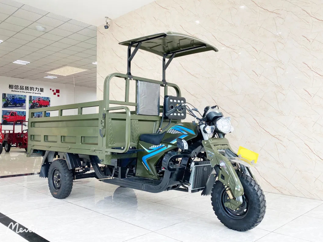 Competitive Price Good Quality 3 Wheel Cargo New Gasoline Tricycles