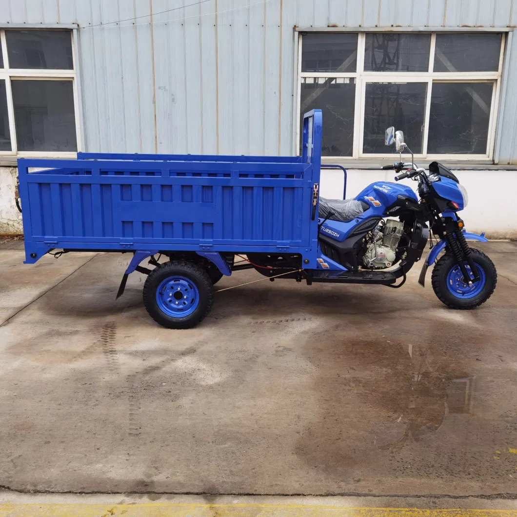 200cc/250cc Air-Cooled Engine Agricultural Tricycle/Cargo Tricycle/Three-Wheel Motorcycle/Tricycle