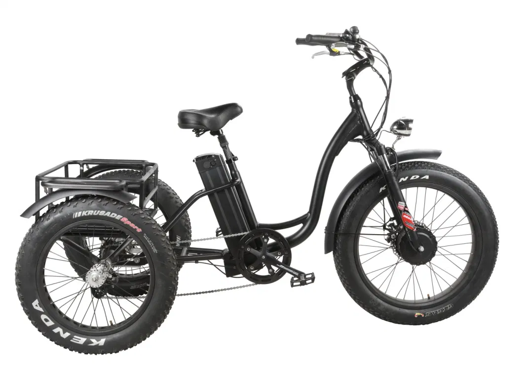 48V 500W/750W Fat Tire 3 Wheel Cargo Electric Tricycle