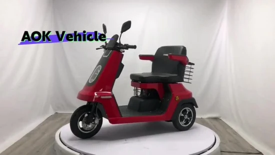 Scooter elettrico a tre ruote con un sedile a tre ruote da 500 W / 1000 W 60 V / 48 V, veicolo elettrico, triciclo elettrico per passeggeri o disabili