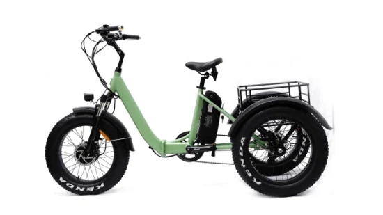 Triciclo elettrico Ebike da carico elettrico a 3 ruote con motore da 500 W di fabbrica professionale