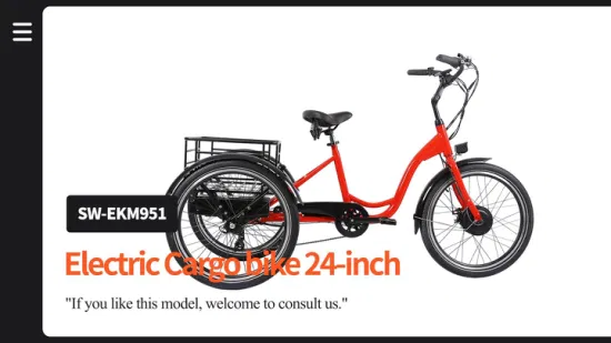 Triciclo elettrico di importazione di bici da carico per famiglie di distributori automatici combinati 48V dalla Cina