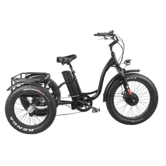 Triciclo elettrico per bici da carico a tre ruote 48V500W Triciclo elettrico con motore del mozzo anteriore 20 pollici 4.0 Triciclo per pneumatici grassi con cestino