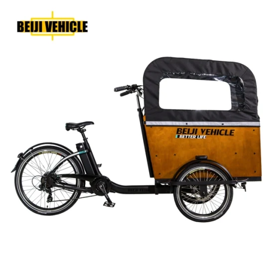 Vendita calda bici elettrica 250W motore 3 ruote bici da carico elettrica con scatola di legno triciclo per trasportare bambini e animali domestici