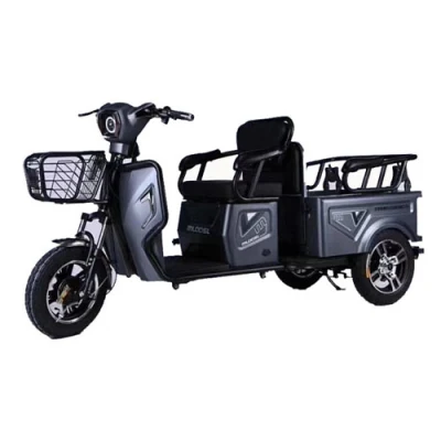 Triciclo elettrico per passeggeri 48V 500W